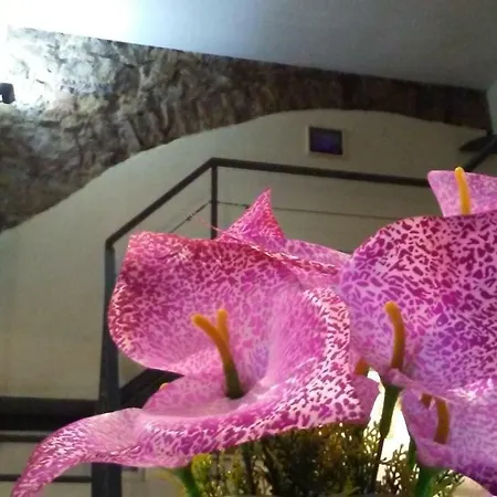 A Casa Di Melu Melu